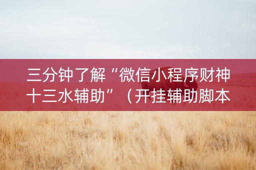 三分钟了解“微信小程序财神十三水辅助”（开挂辅助脚本)