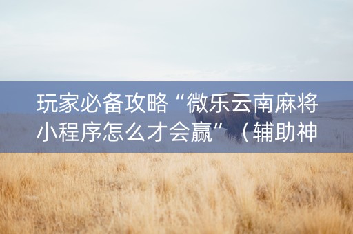 玩家必备攻略“微乐云南麻将小程序怎么才会赢”（辅助神器免费)