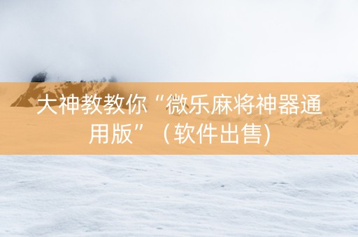 大神教教你“微乐麻将神器通用版”（软件出售)