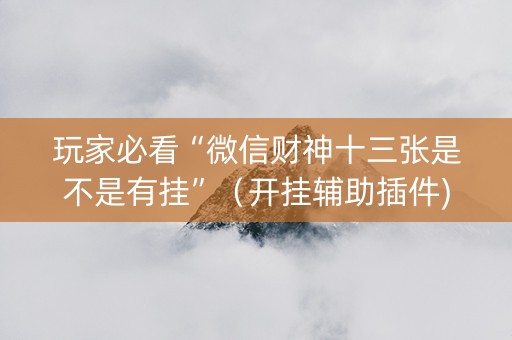 玩家必看“微信财神十三张是不是有挂”（开挂辅助插件)