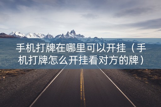 手机打牌在哪里可以开挂（手机打牌怎么开挂看对方的牌）