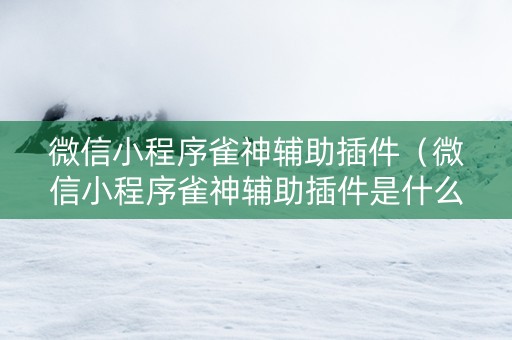微信小程序雀神辅助插件（微信小程序雀神辅助插件是什么）