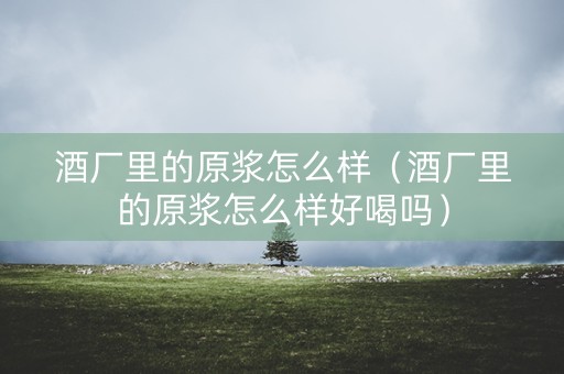 酒厂里的原浆怎么样（酒厂里的原浆怎么样好喝吗）