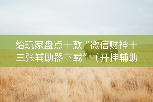给玩家盘点十款“微信财神十三张辅助器下载”（开挂辅助脚本)