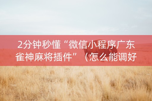 2分钟秒懂“微信小程序广东雀神麻将插件”（怎么能调好牌)