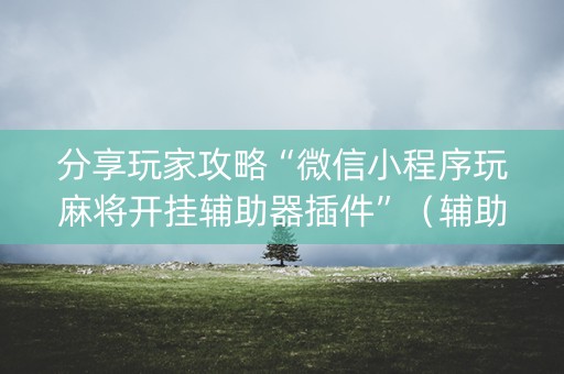 分享玩家攻略“微信小程序玩麻将开挂辅助器插件”（辅助神器免费)
