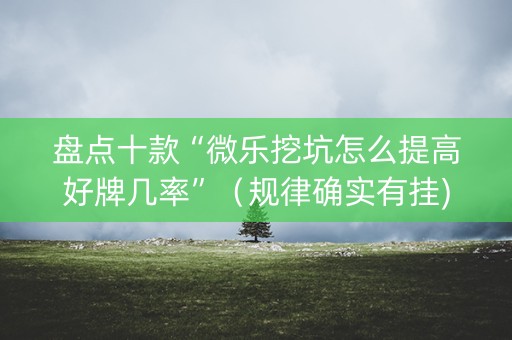 盘点十款“微乐挖坑怎么提高好牌几率”（规律确实有挂)