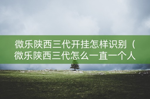 微乐陕西三代开挂怎样识别（微乐陕西三代怎么一直一个人赢）