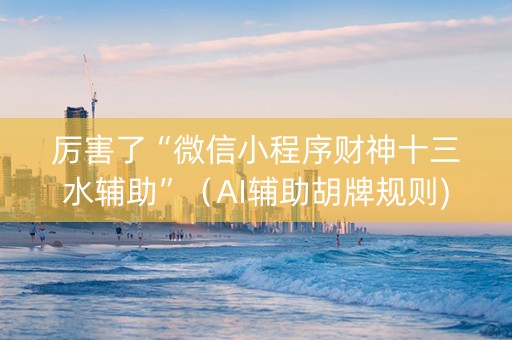 厉害了“微信小程序财神十三水辅助”（AI辅助胡牌规则)