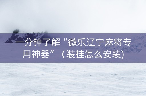 一分钟了解“微乐辽宁麻将专用神器”（装挂怎么安装)