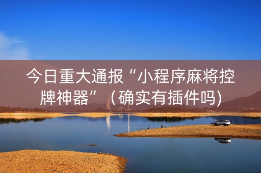 今日重大通报“小程序麻将控牌神器”（确实有插件吗)