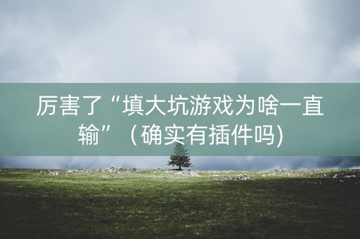 厉害了“填大坑游戏为啥一直输”（确实有插件吗)