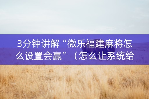 3分钟讲解“微乐福建麻将怎么设置会赢”（怎么让系统给自己好牌)