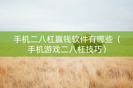 手机二八杠赢钱软件有哪些（手机游戏二八杠技巧）