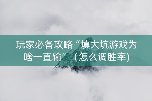 玩家必备攻略“填大坑游戏为啥一直输”（怎么调胜率)