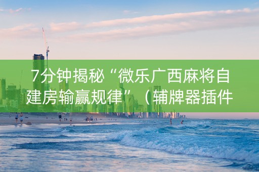 7分钟揭秘“微乐广西麻将自建房输赢规律”（辅牌器插件购买)