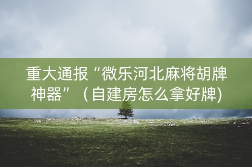 重大通报“微乐河北麻将胡牌神器”（自建房怎么拿好牌)
