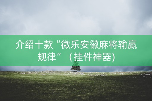 介绍十款“微乐安徽麻将输赢规律”（挂件神器)