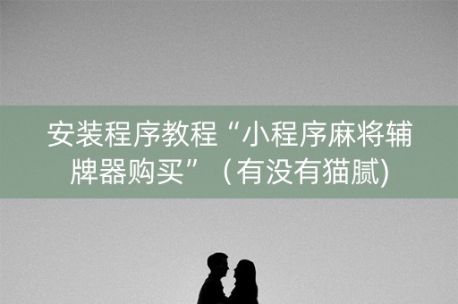 安装程序教程“小程序麻将辅牌器购买”（有没有猫腻)