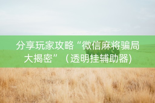 分享玩家攻略“微信麻将骗局大揭密”（透明挂辅助器)