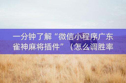 一分钟了解“微信小程序广东雀神麻将插件”（怎么调胜率)