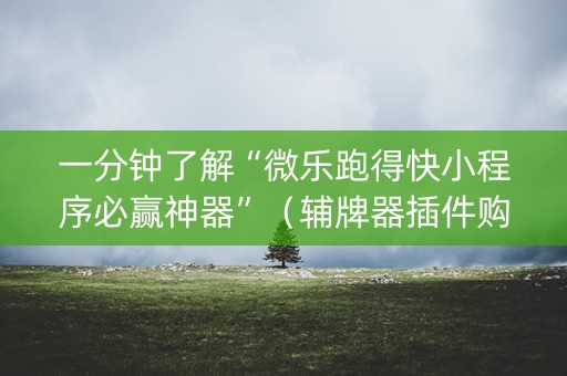 一分钟了解“微乐跑得快小程序必赢神器”（辅牌器插件购买)