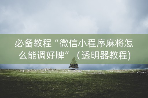 必备教程“微信小程序麻将怎么能调好牌”（透明器教程)