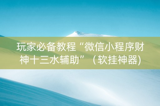 玩家必备教程“微信小程序财神十三水辅助”（软挂神器)