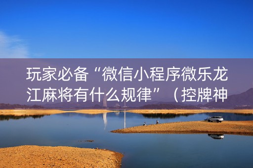 玩家必备“微信小程序微乐龙江麻将有什么规律”（控牌神器)