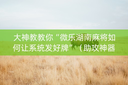 大神教教你“微乐湖南麻将如何让系统发好牌”（助攻神器)