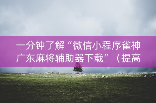 一分钟了解“微信小程序雀神广东麻将辅助器下载”（提高胜率软件)