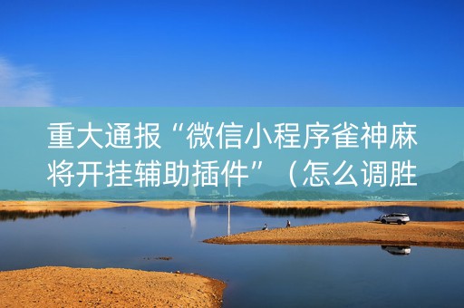 重大通报“微信小程序雀神麻将开挂辅助插件”（怎么调胜率)