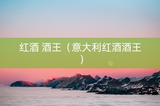 红酒 酒王（意大利红酒酒王）