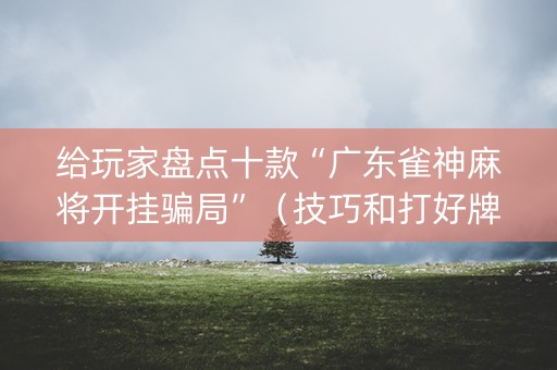 给玩家盘点十款“广东雀神麻将开挂骗局”（技巧和打好牌方法)