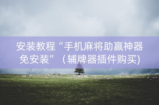 安装教程“手机麻将助赢神器免安装”（辅牌器插件购买)