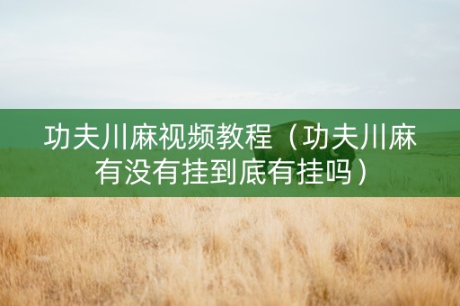 功夫川麻视频教程（功夫川麻有没有挂到底有挂吗）
