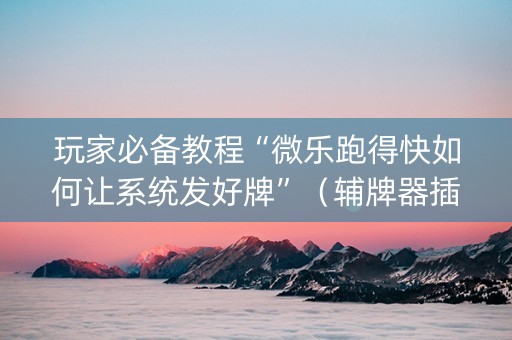 玩家必备教程“微乐跑得快如何让系统发好牌”（辅牌器插件购买)