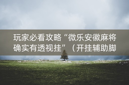 玩家必看攻略“微乐安徽麻将确实有透视挂”（开挂辅助脚本)