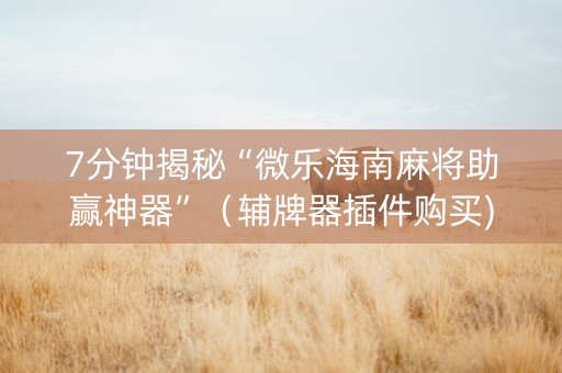 7分钟揭秘“微乐海南麻将助赢神器”（辅牌器插件购买)