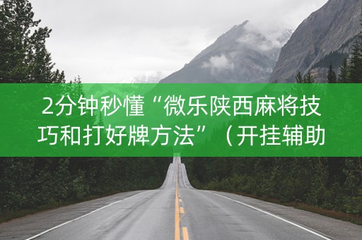 2分钟秒懂“微乐陕西麻将技巧和打好牌方法”（开挂辅助脚本)
