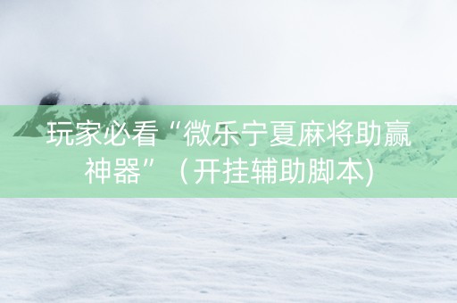 玩家必看“微乐宁夏麻将助赢神器”（开挂辅助脚本)