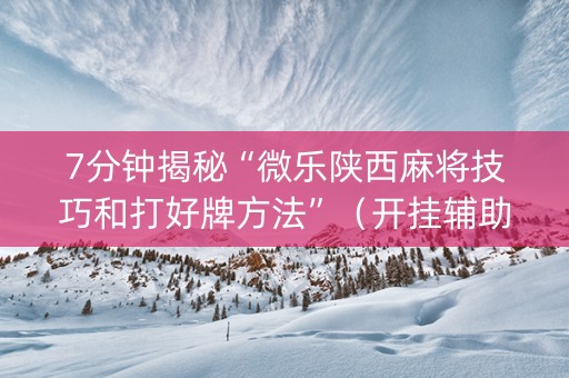 7分钟揭秘“微乐陕西麻将技巧和打好牌方法”（开挂辅助器脚本)