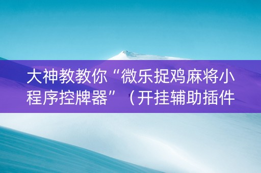 大神教教你“微乐捉鸡麻将小程序控牌器”（开挂辅助插件)