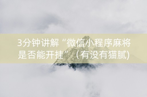 3分钟讲解“微信小程序麻将是否能开挂”（有没有猫腻)
