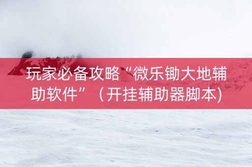 玩家必备攻略“微乐锄大地辅助软件”（开挂辅助器脚本)