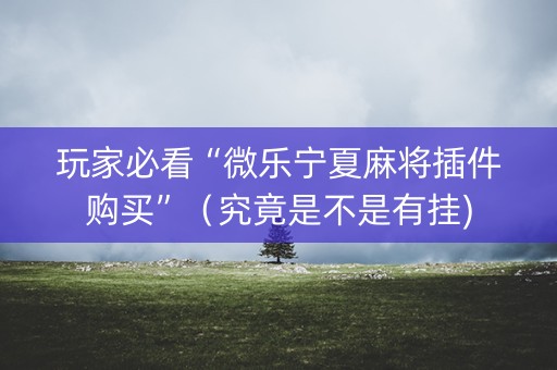 玩家必看“微乐宁夏麻将插件购买”（究竟是不是有挂)