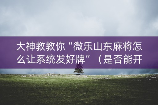 大神教教你“微乐山东麻将怎么让系统发好牌”（是否能开挂)