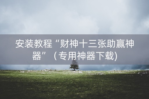 安装教程“财神十三张助赢神器”（专用神器下载)