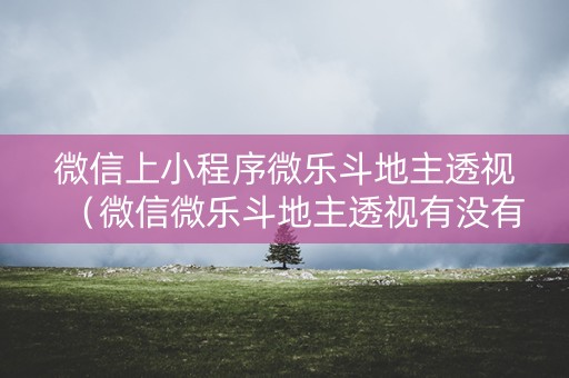 微信上小程序微乐斗地主透视（微信微乐斗地主透视有没有）