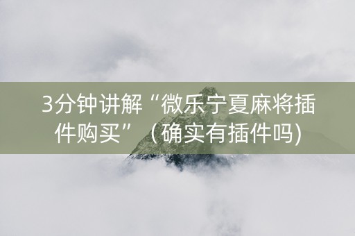 3分钟讲解“微乐宁夏麻将插件购买”（确实有插件吗)
